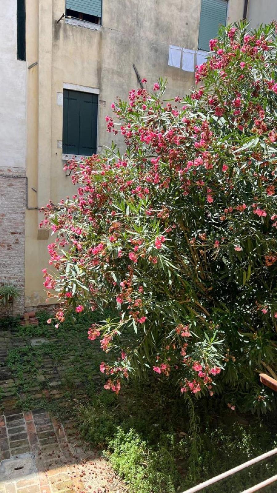 Ania Apartment Veneza Exterior foto